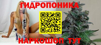 стафф Кулебаки