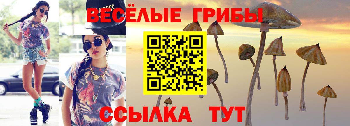Галлюциногенные грибы мухоморы Казань
